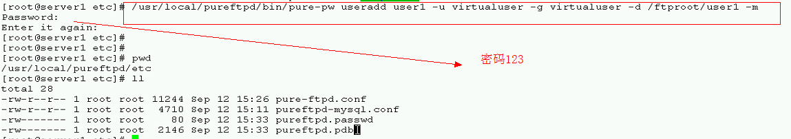 linux下搭建pureftp服务器_服务器_43