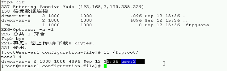 linux下搭建pureftp服务器_服务器_47