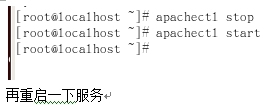 Apache服务器搭建－－基于域名的虚拟主机_apache_29