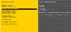 vmware服务器虚拟化项目实施文档（1）_blank_11