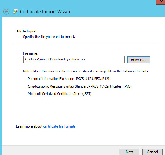 windows 2012 如何给web server自己签发证书_IIS_33