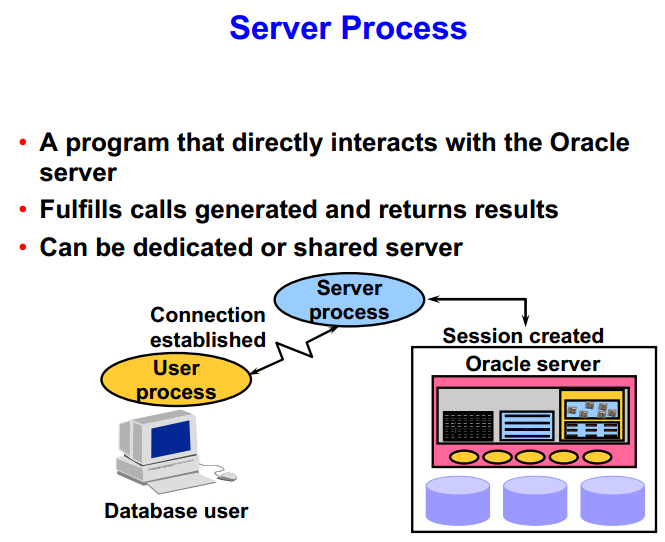 01 Oracle Architectural Components _oracle_11