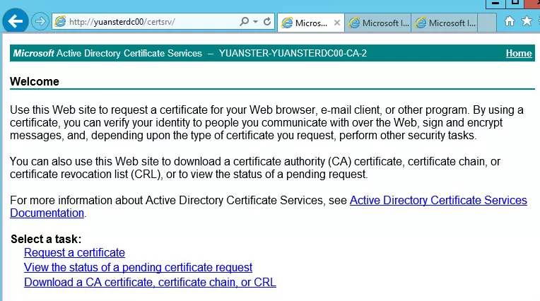 windows 2012 如何给web server自己签发证书_IIS_20