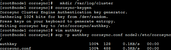 corosync+openais+pacemaker实现高可用性群集_高可用性群集_08