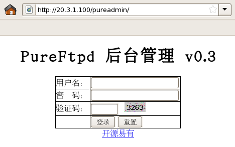 Pure-FTPd_服务器_21