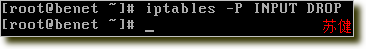 iptables防火墙(一)  --  防火墙概述_Linux_05