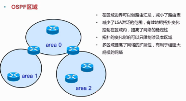 OSPF协议_ospf_04