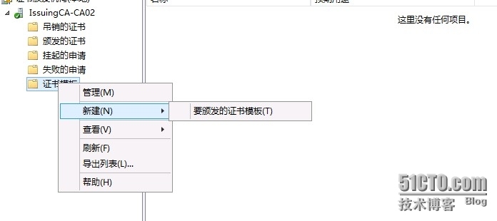 用Windows Server 2012 R2 搭建二层证书服务结构 Part 5_Server 2012 R2_11