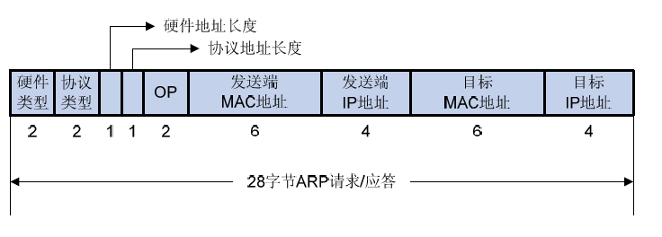 ARP 简介_网络