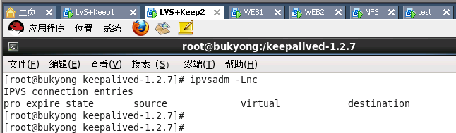 LVS+Keepalived构建高可用负载均衡群集_Keepalived_12