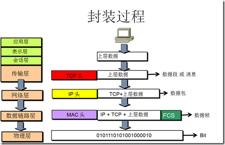 CCNA学习笔记之网络体系结构_应用程序_03