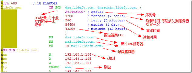 bind配置,详解,实例_主机_03