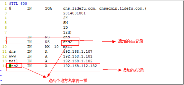 bind配置,详解,实例_主机_10