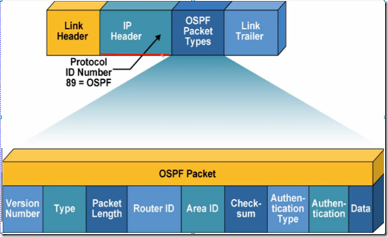 CCNA学习笔记之OSPF（理论篇）_Router ID_02