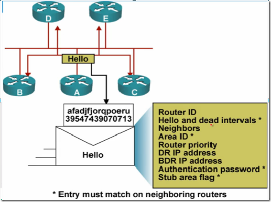 CCNA学习笔记之OSPF（理论篇）_BDR_04