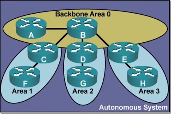 CCNA学习笔记之OSPF（理论篇）_Router ID_10