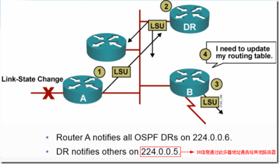 CCNA学习笔记之OSPF（理论篇）_BDR_18