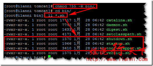 烂泥：OA项目迁移到Centos_迁移到Centos_15