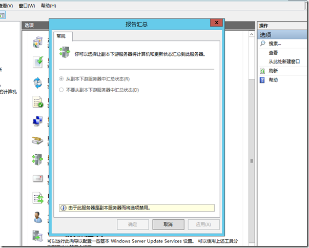 Windows Server 2012 R2 WSUS-13：部署二级WSUS_部署_19