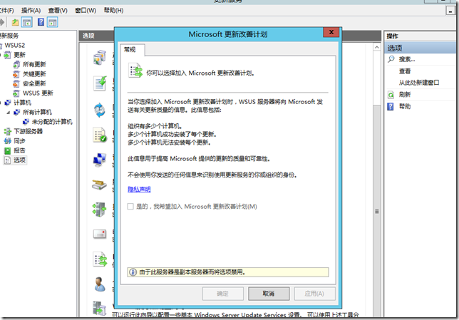 Windows Server 2012 R2 WSUS-13：部署二级WSUS_部署_20