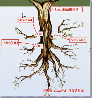 老男孩视频第二部视频学习笔记（第二部）之一：命令（2）_老男孩_02