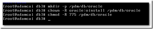 Teamcenter10 step-by-step installation in Linux env-Oracle Server Installation_PLM_06