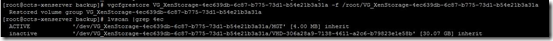 如何从XenServer恢复误删的虚拟机数据_vgcfgrestore_04