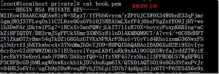 linux CA 加密解密技术_技术_04