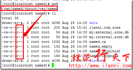 烂泥：centos安装及配置DNS服务器_DNS_12