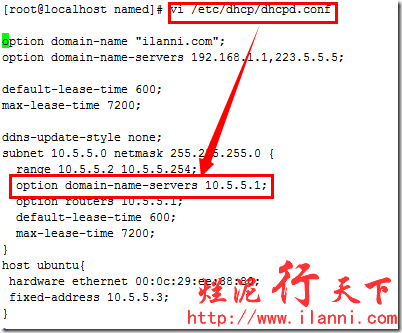 烂泥：centos安装及配置DNS服务器_烂泥_14