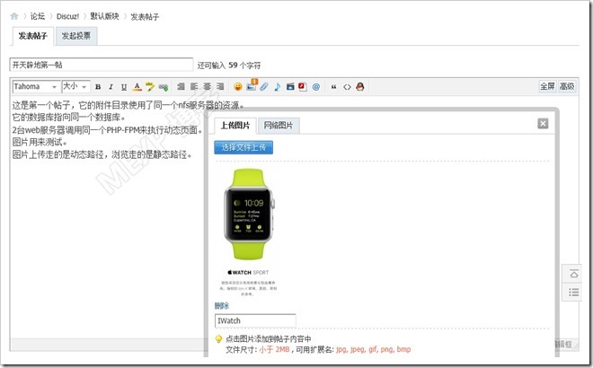 LVS调度算法初探、NAT与DR模型分析及基于DR动静分离部署Discuz_调度_23