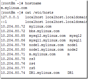 RHCS&集群文件系统GFS2&CLVM_应用程序_19