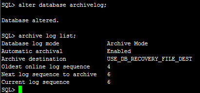 Oracle 开启归档_Oracle_02