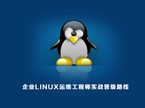 企业Linux运维工程师实战晋级路线视频课程