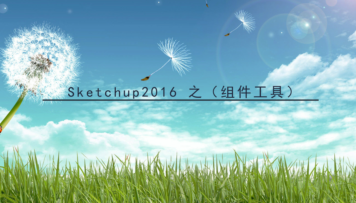 sketchup2016之（组件工具）视频课程