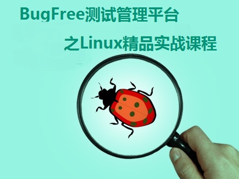 BugFree软件测试工具之Linux实战课程