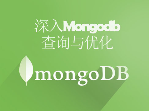 深入MongoDB查询与查询优化视频课程【环尾猫IT】