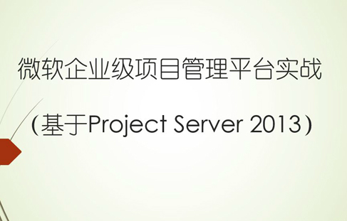 微软企业级项目管理平台实战（基于Project Server 2013）