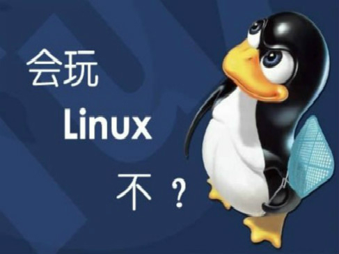 Linux基础命令讲解实战视频课程