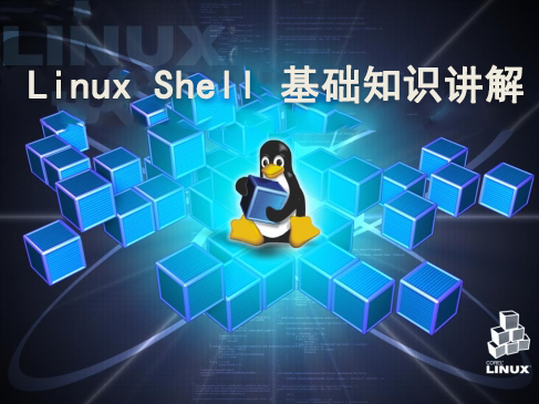 Linux Shell基础知识视频课程