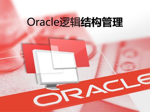 Oracle逻辑结构管理实战视频课程
