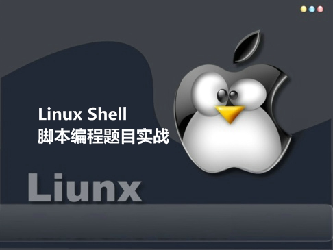 Linux Shell 脚本编程题目实战视频课程