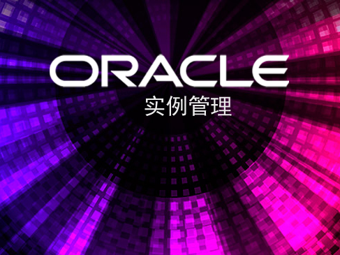 Oracle实战之实例管理视频课程
