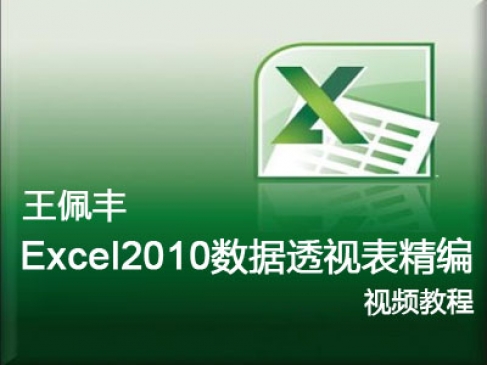  [Wang Peifeng] Excel 2010 PivotTable Video Tutorial Full Version