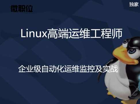 直通名企-Linux微职位：5 企业级自动化运维监控及实战