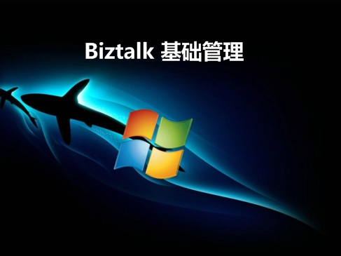 微软Biztalk 管理系列视频课