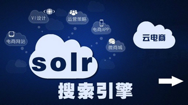 Solr教学视频基础与提升视频课程