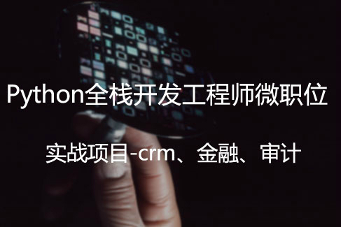 模块九：实战项目-crm&IT审计系统【python全栈微职位】