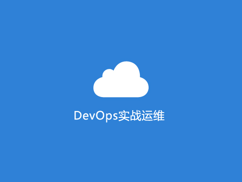 【罗晶】DevOps实战运维公开课同步 视频课程