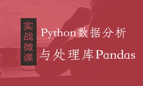【实战微课】Python数据分析与处理库Pandas